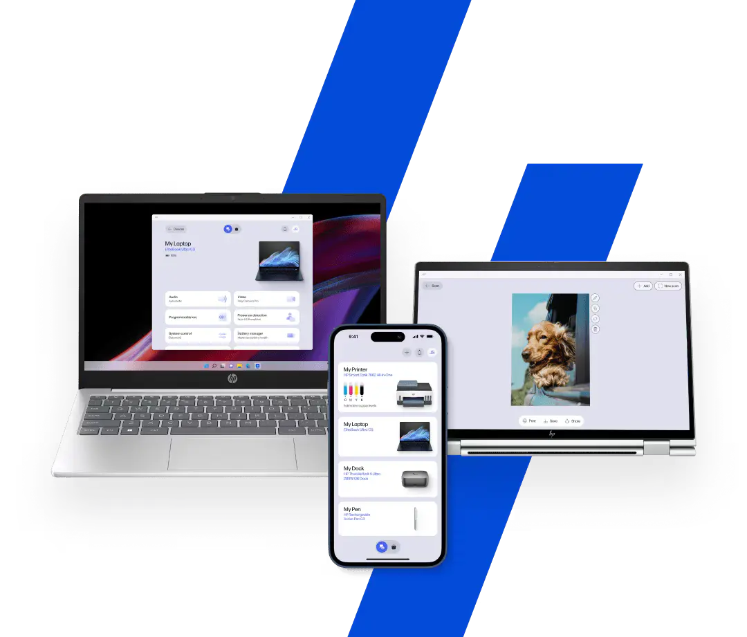 Web Development Services